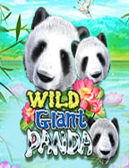 เจาะลึกทาง เข้า slotxo mobile พร้อมรีวิวการใช้งาน